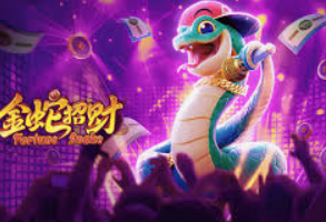 星空全站最新版