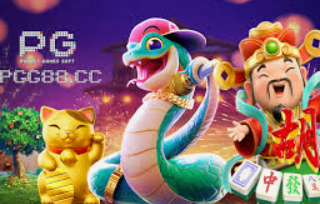 星空全站客户端