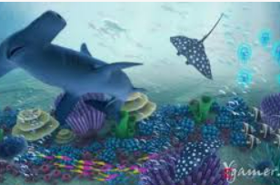 星空全站正式版